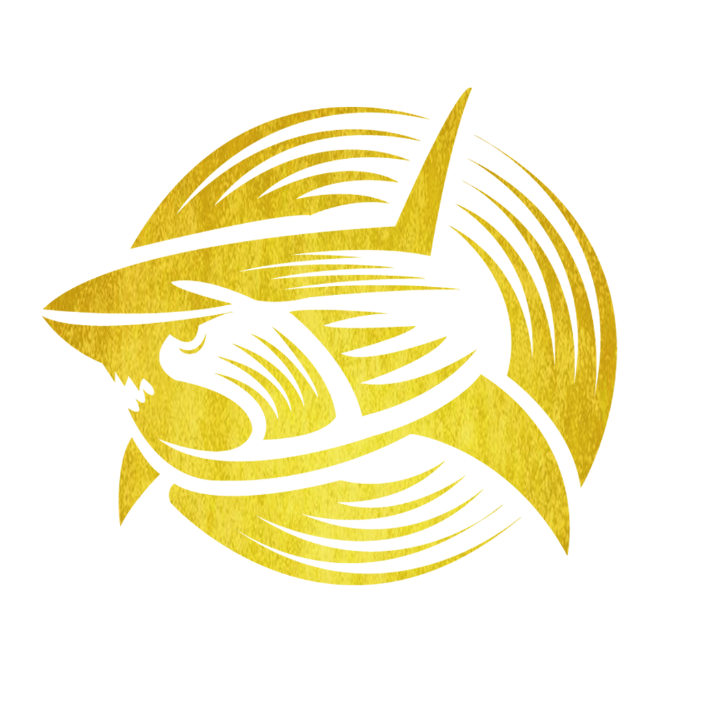 金沙Token